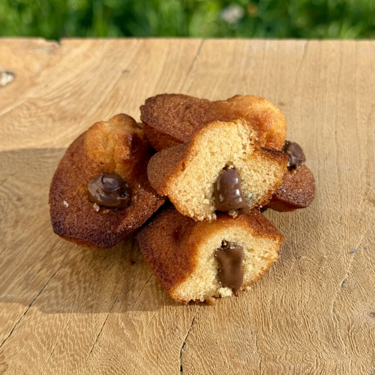 Madeleine chocolat