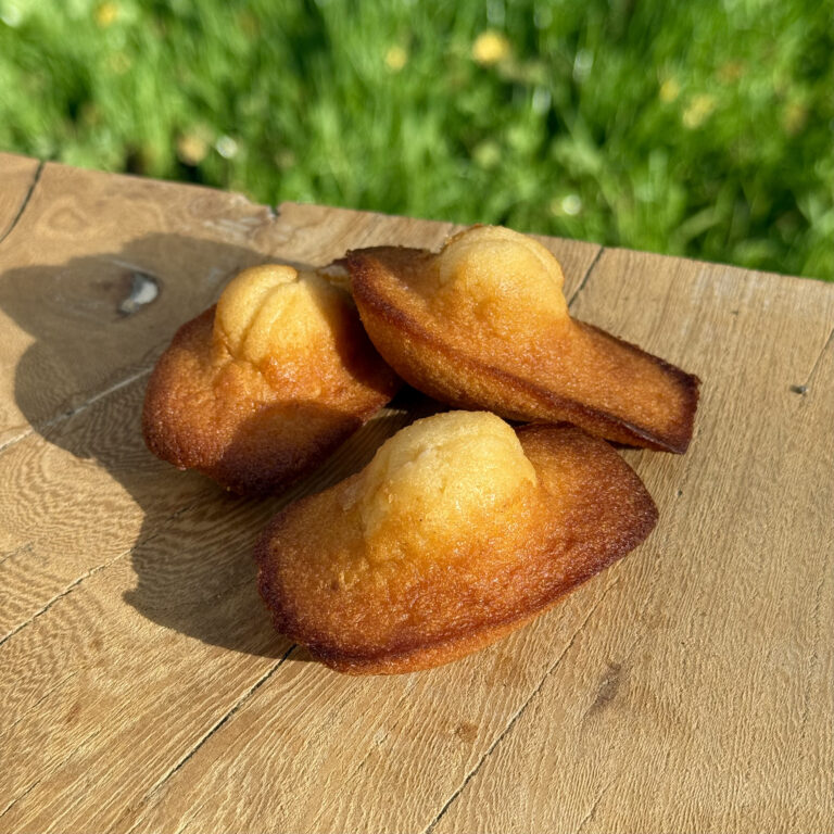 Madeleine nature